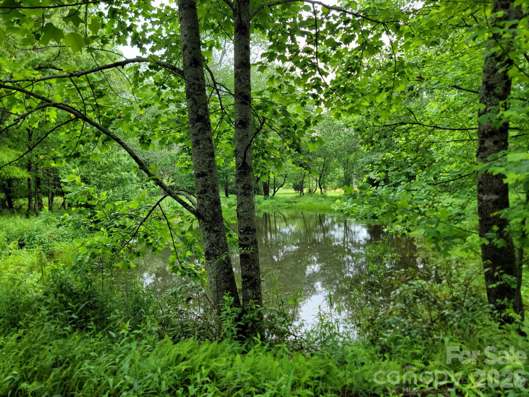 Tbd Sweetwater Ridge Road Balsam Grove NC 28708