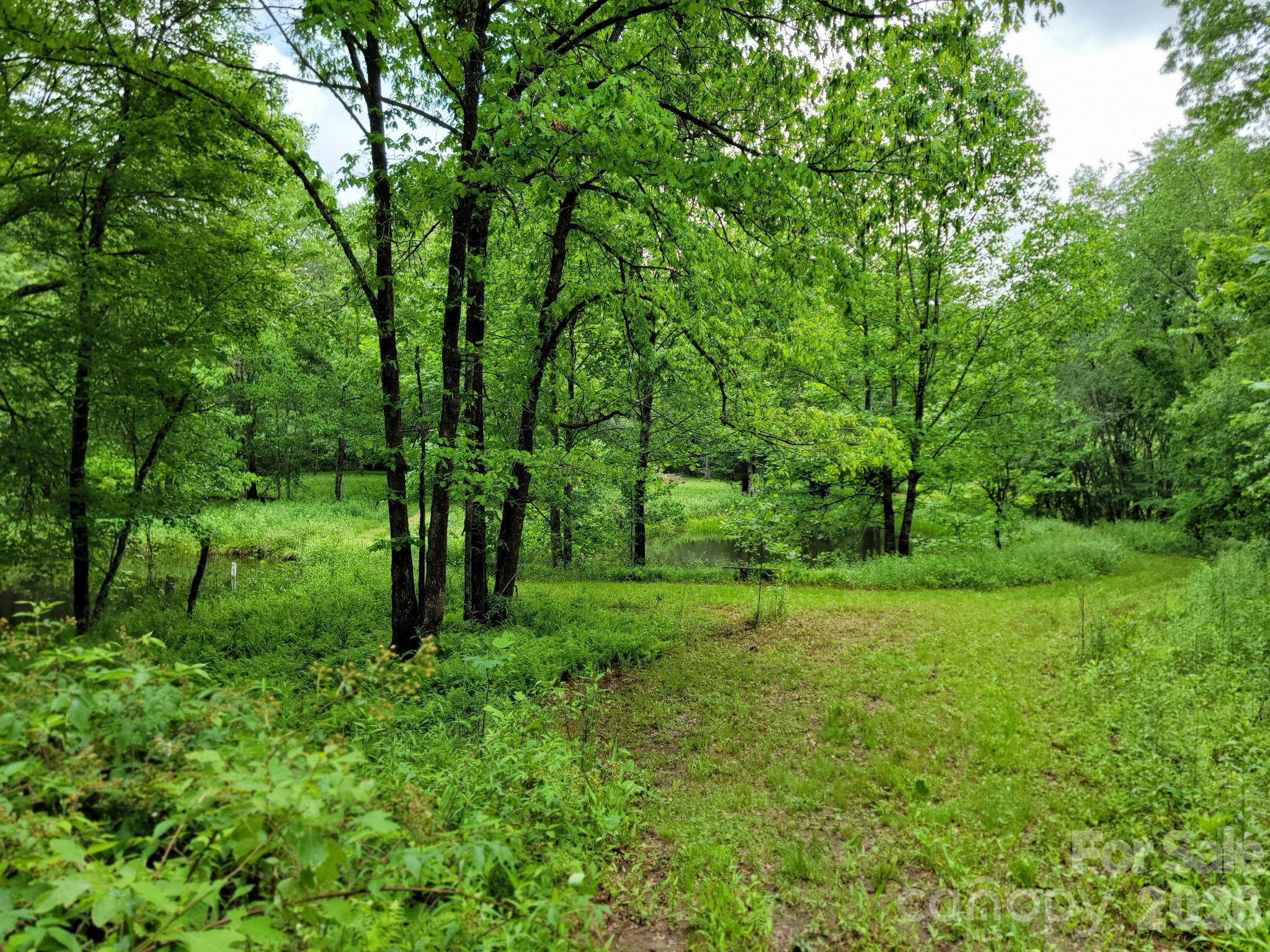 Tbd Sweetwater Ridge Road Balsam Grove NC 28708