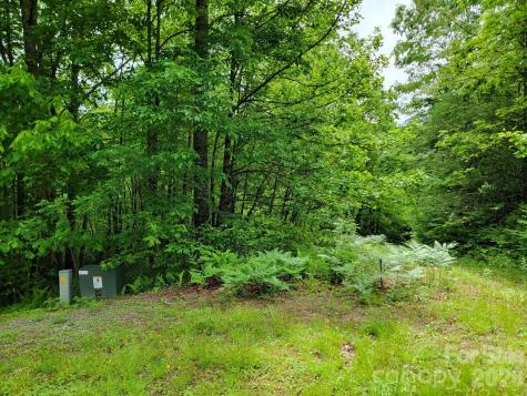Tbd Sweetwater Ridge Road Balsam Grove NC 28708