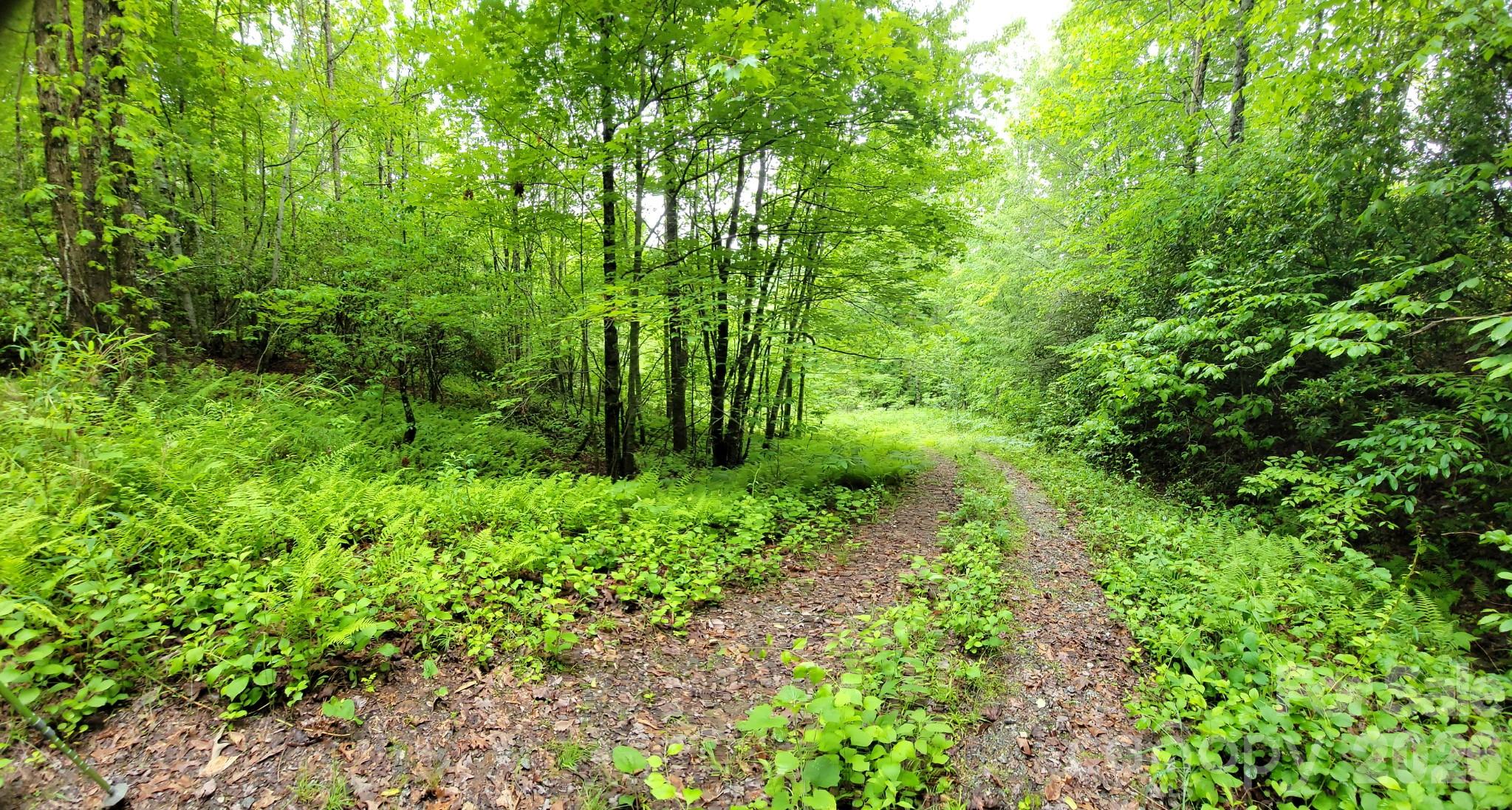 Tbd Sweetwater Ridge Road Balsam Grove NC 28708