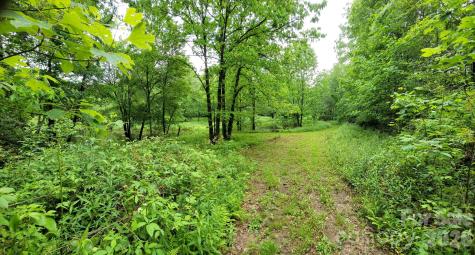 Tbd Sweetwater Ridge Road Balsam Grove NC 28708