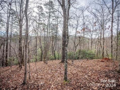 163 Pheasant Street Lake Lure NC 28746