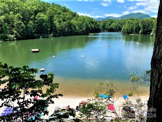 163 Pheasant Street Lake Lure NC 28746