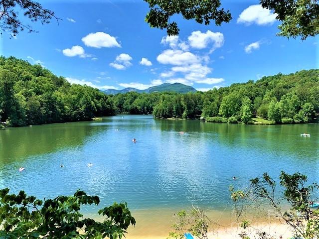163 Pheasant Street Lake Lure NC 28746