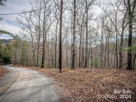 163 Pheasant Street Lake Lure NC 28746