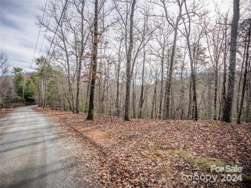 163 Pheasant Street Lake Lure NC 28746