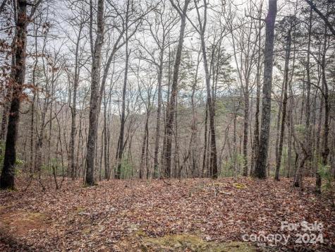 163 Pheasant Street Lake Lure NC 28746