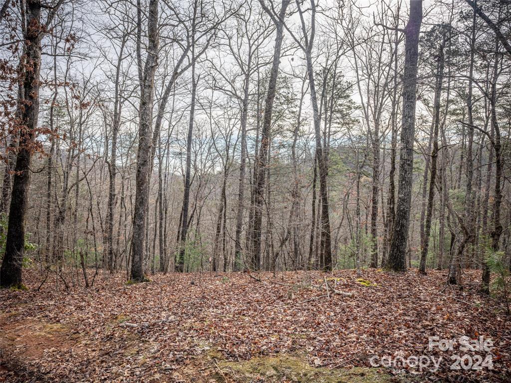 163 Pheasant Street Lake Lure NC 28746