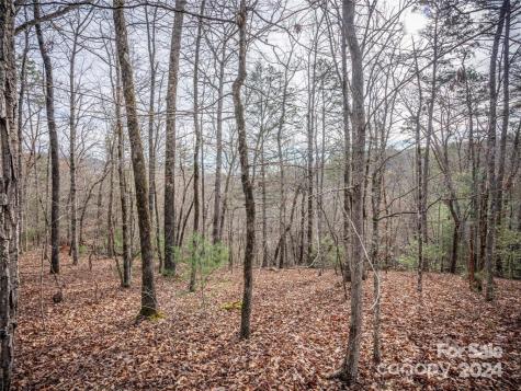163 Pheasant Street Lake Lure NC 28746