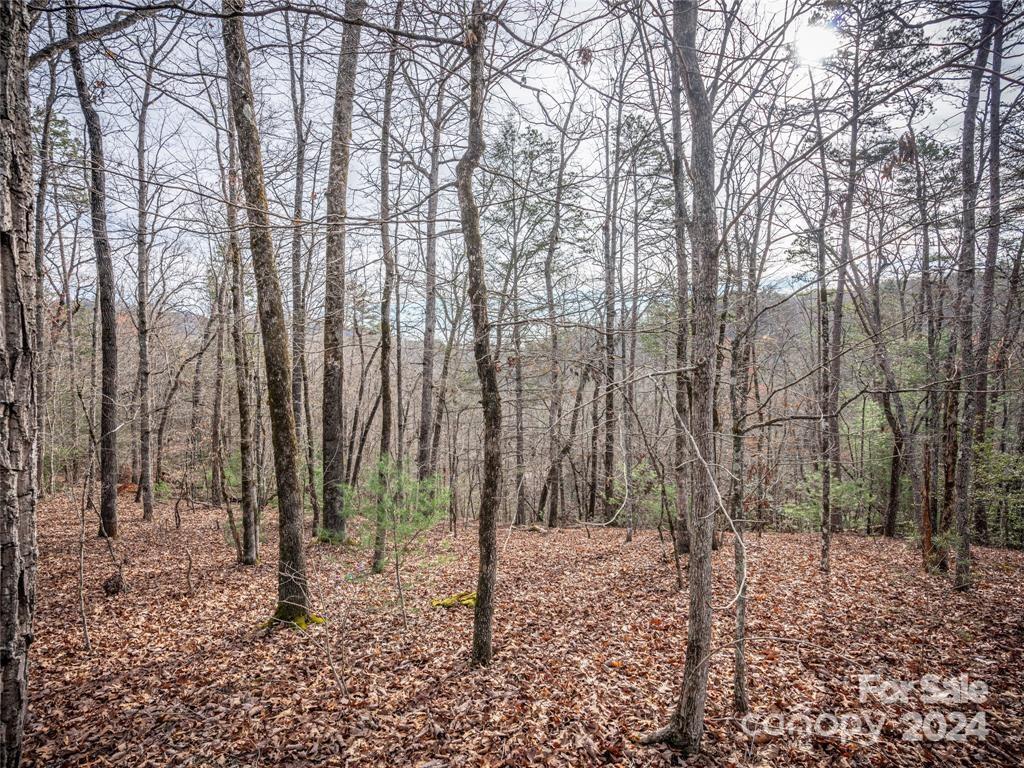 163 Pheasant Street Lake Lure NC 28746