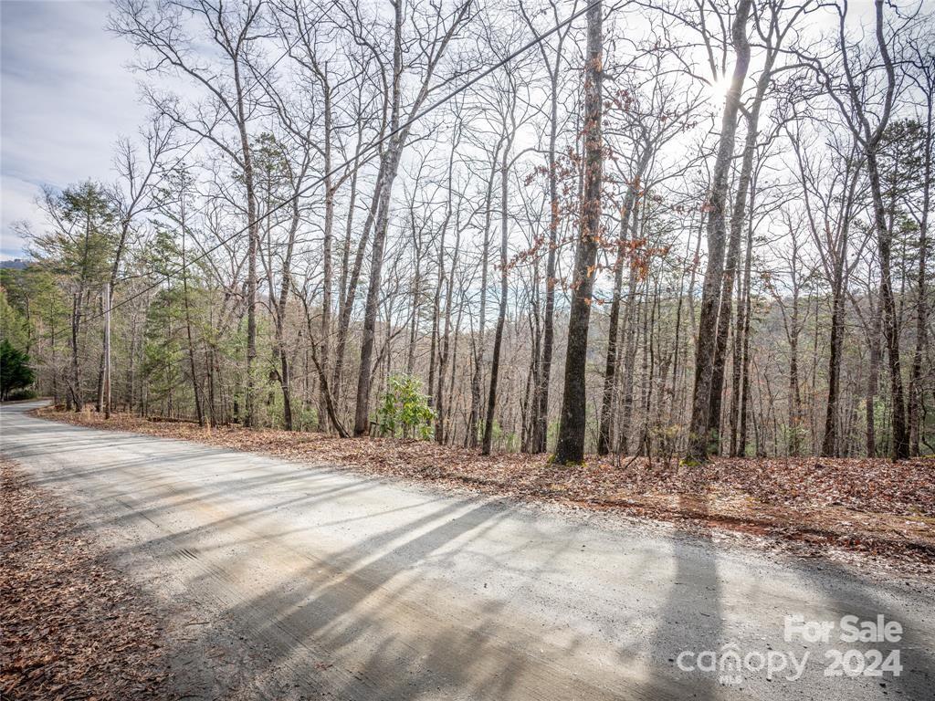 163 Pheasant Street Lake Lure NC 28746
