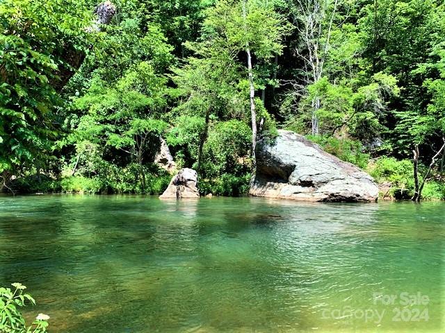 163 Pheasant Street Lake Lure NC 28746