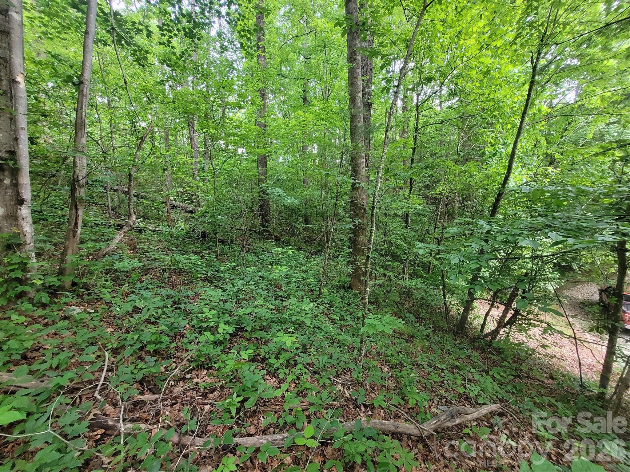 00 Serendipity Lane Waynesville NC 28785