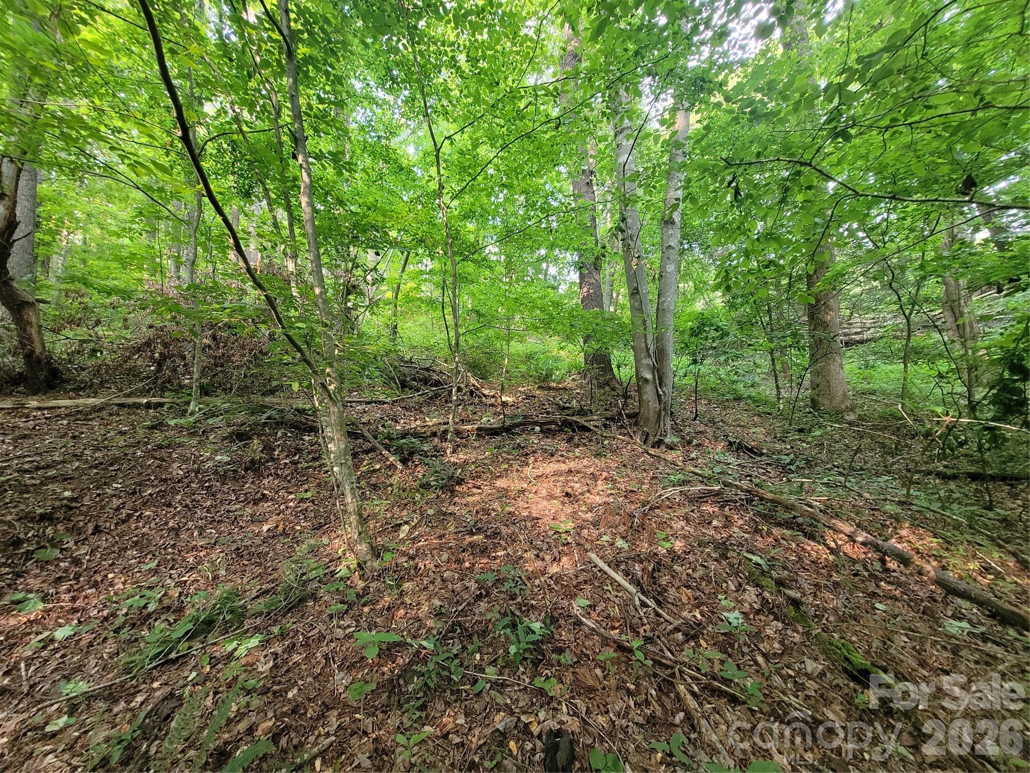 00 Serendipity Lane Waynesville NC 28785