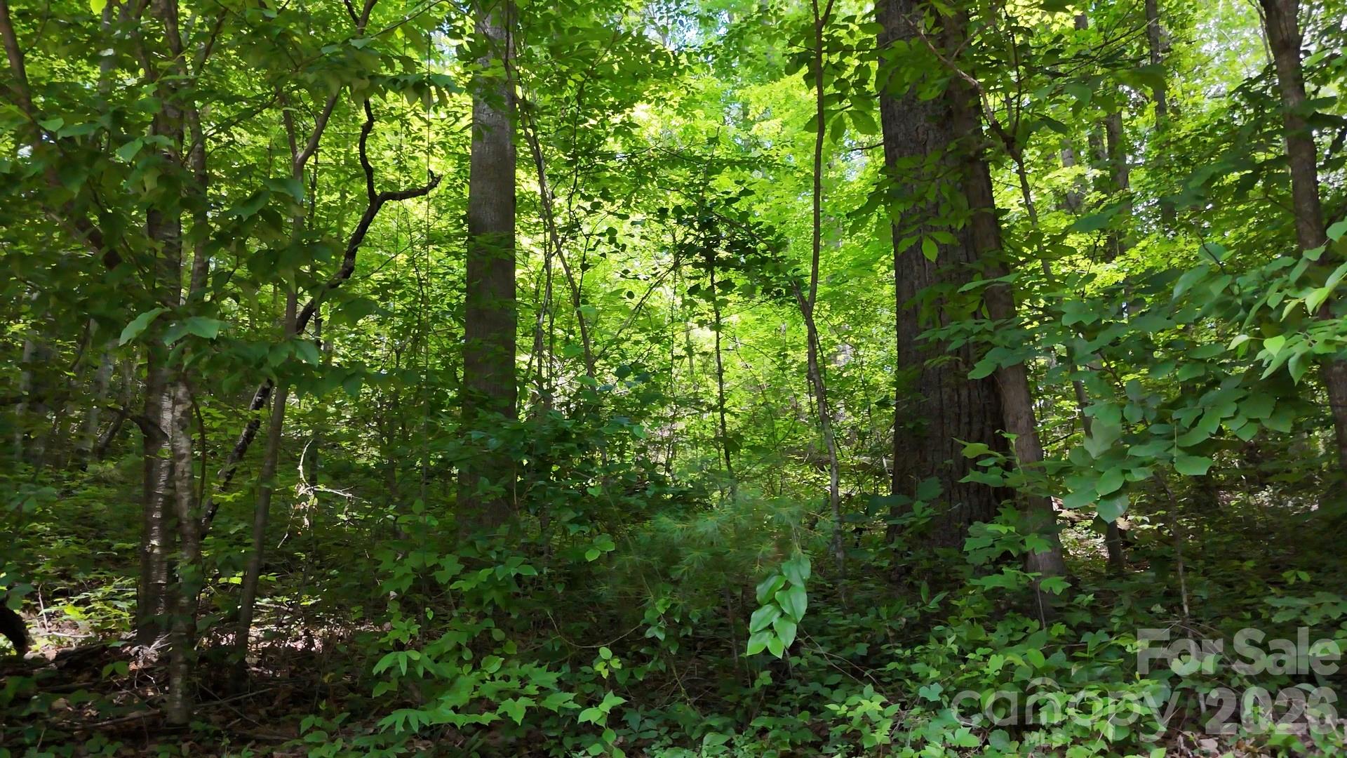 00 Serendipity Lane Waynesville NC 28785