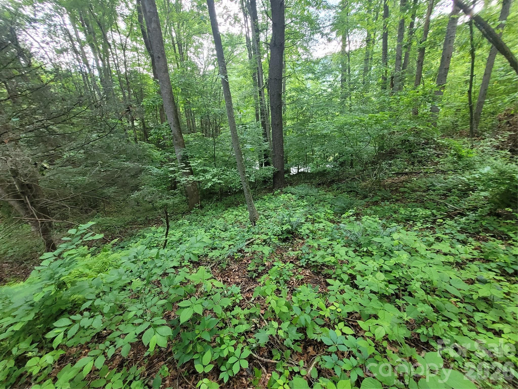 00 Serendipity Lane Waynesville NC 28785