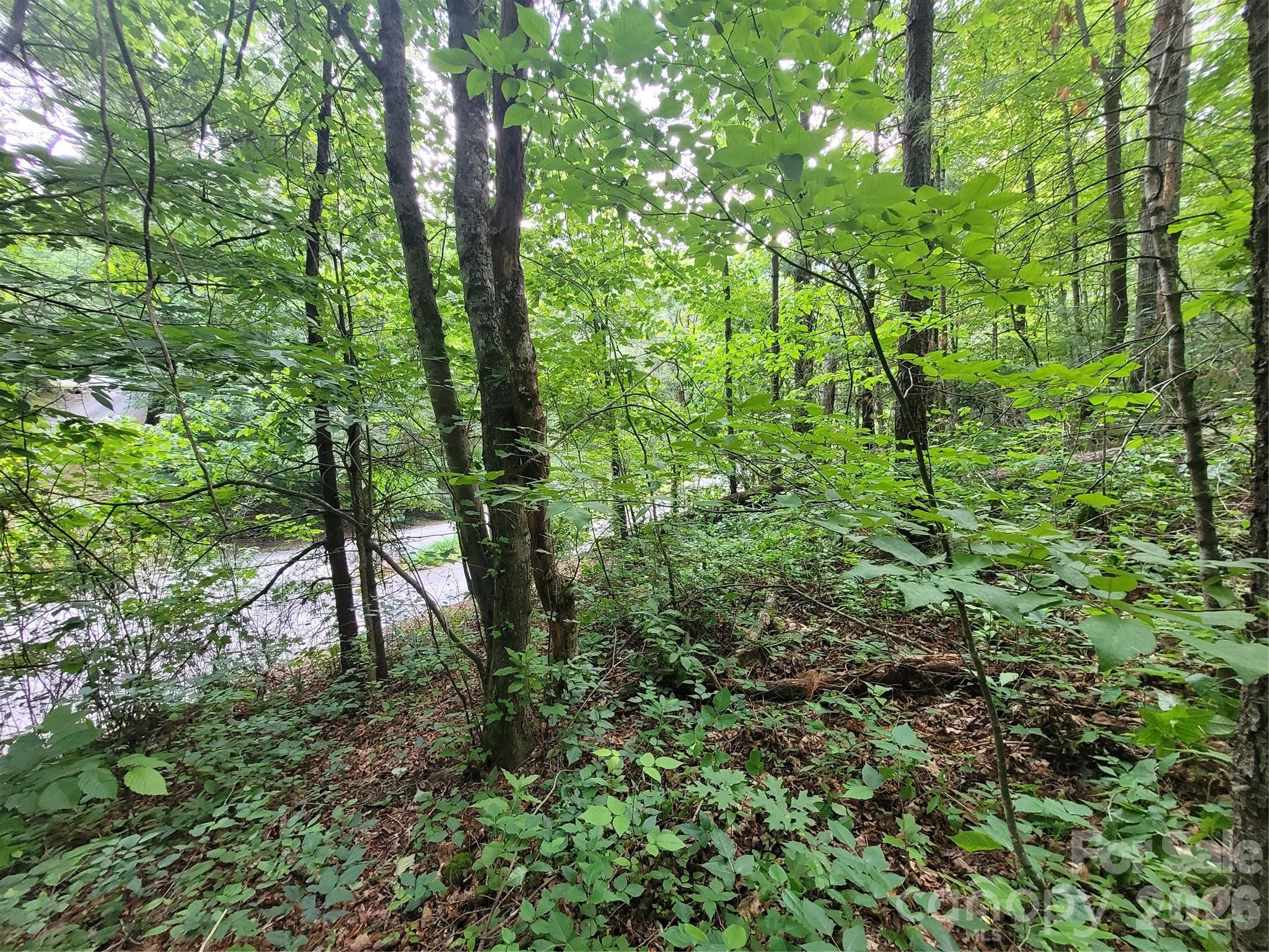 00 Serendipity Lane Waynesville NC 28785