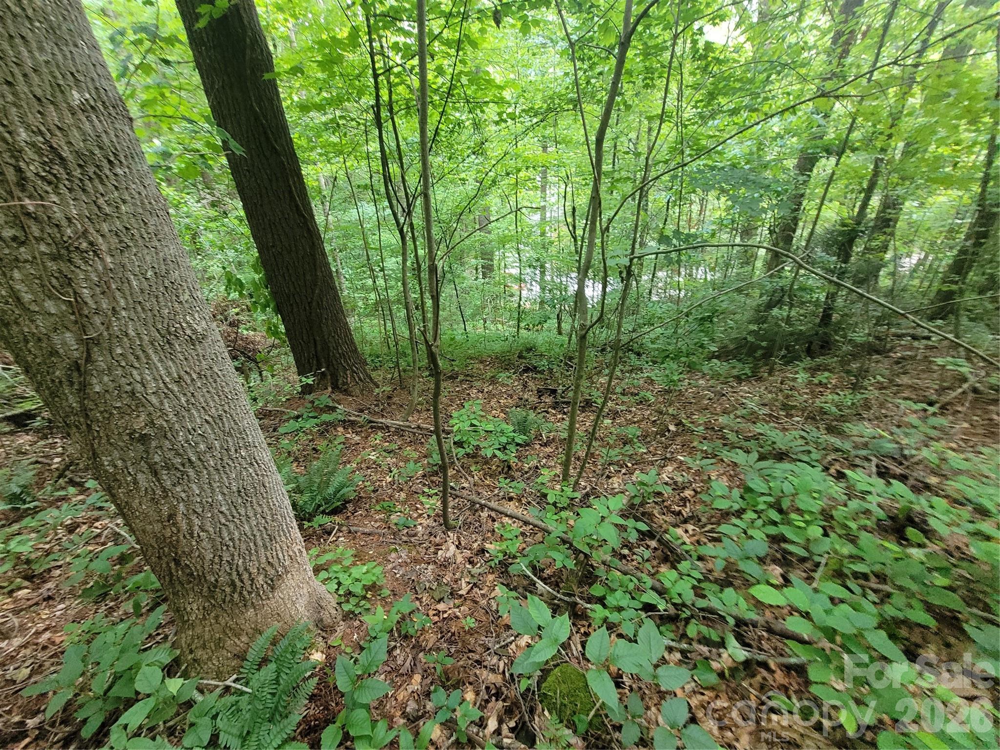 00 Serendipity Lane Waynesville NC 28785