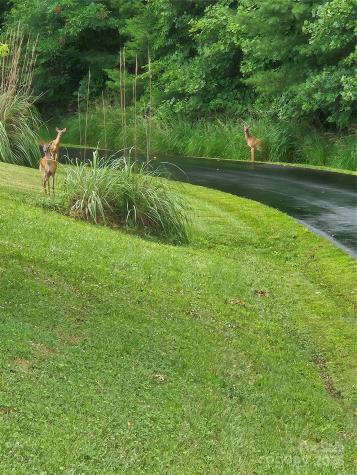 9999 Gabriels Creek Road Mars Hill NC 28754