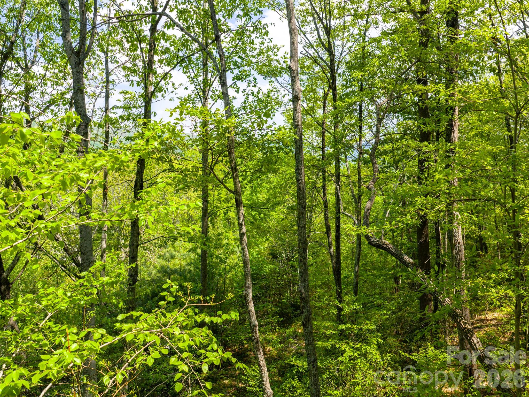 490 Barrington Drive Asheville NC 28803