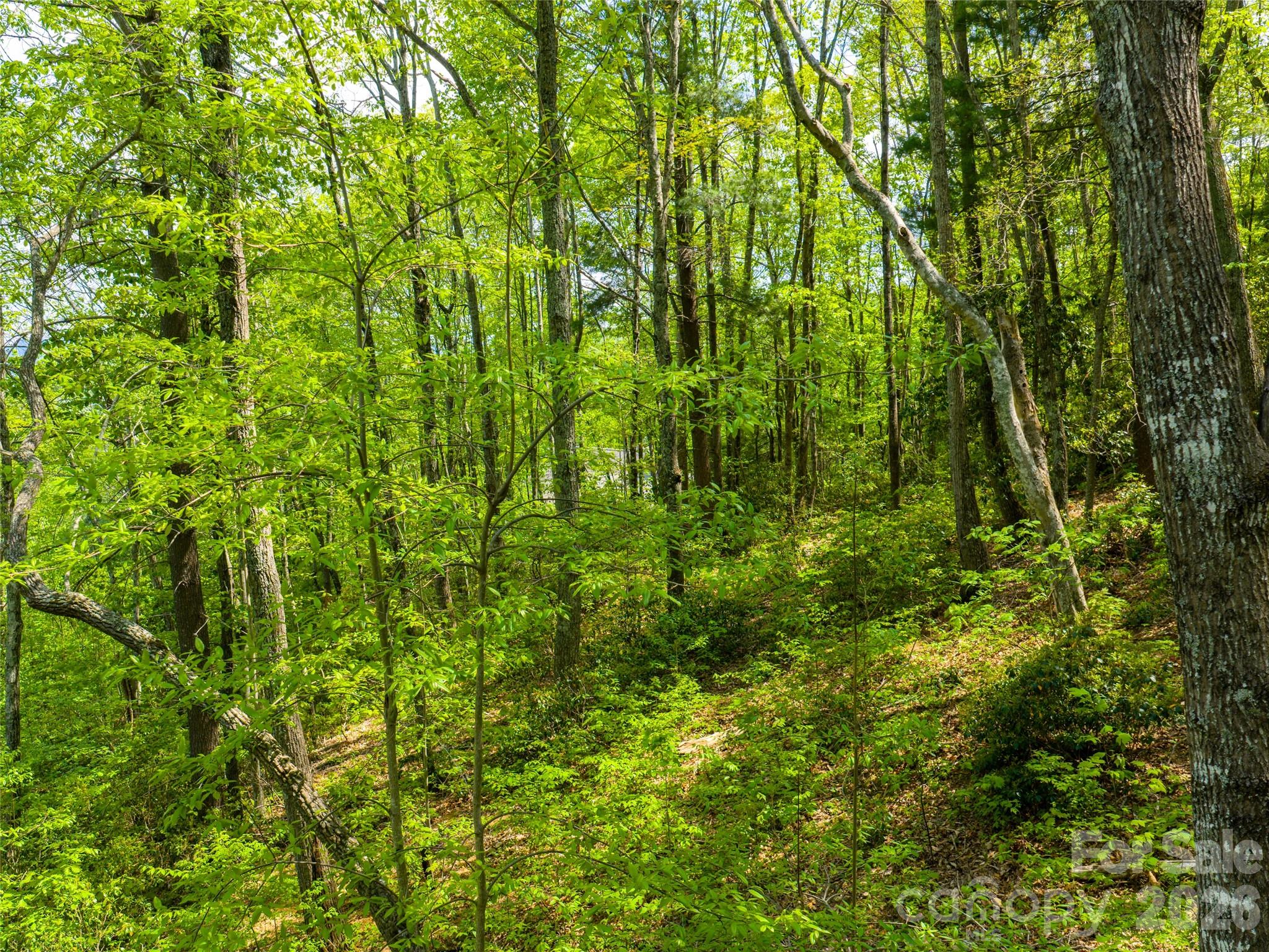 490 Barrington Drive Asheville NC 28803