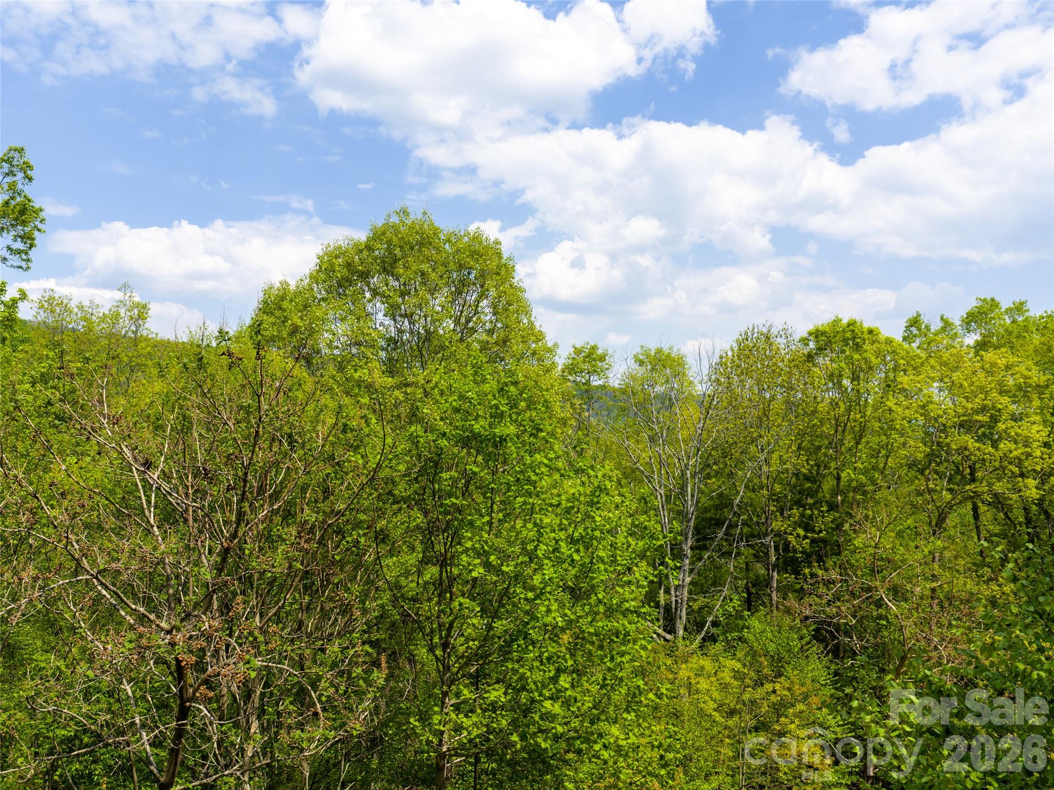 490 Barrington Drive Asheville NC 28803