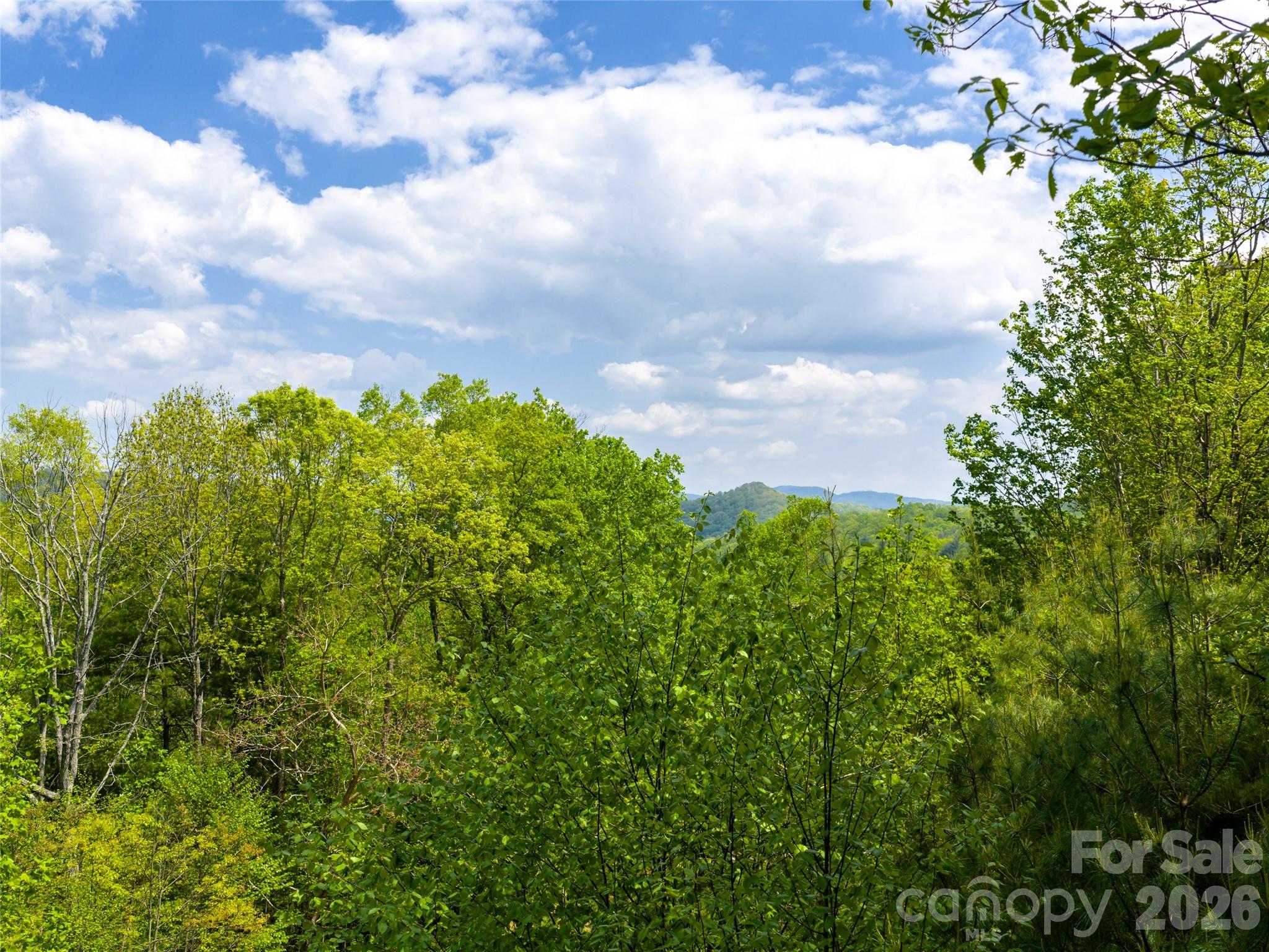 490 Barrington Drive Asheville NC 28803