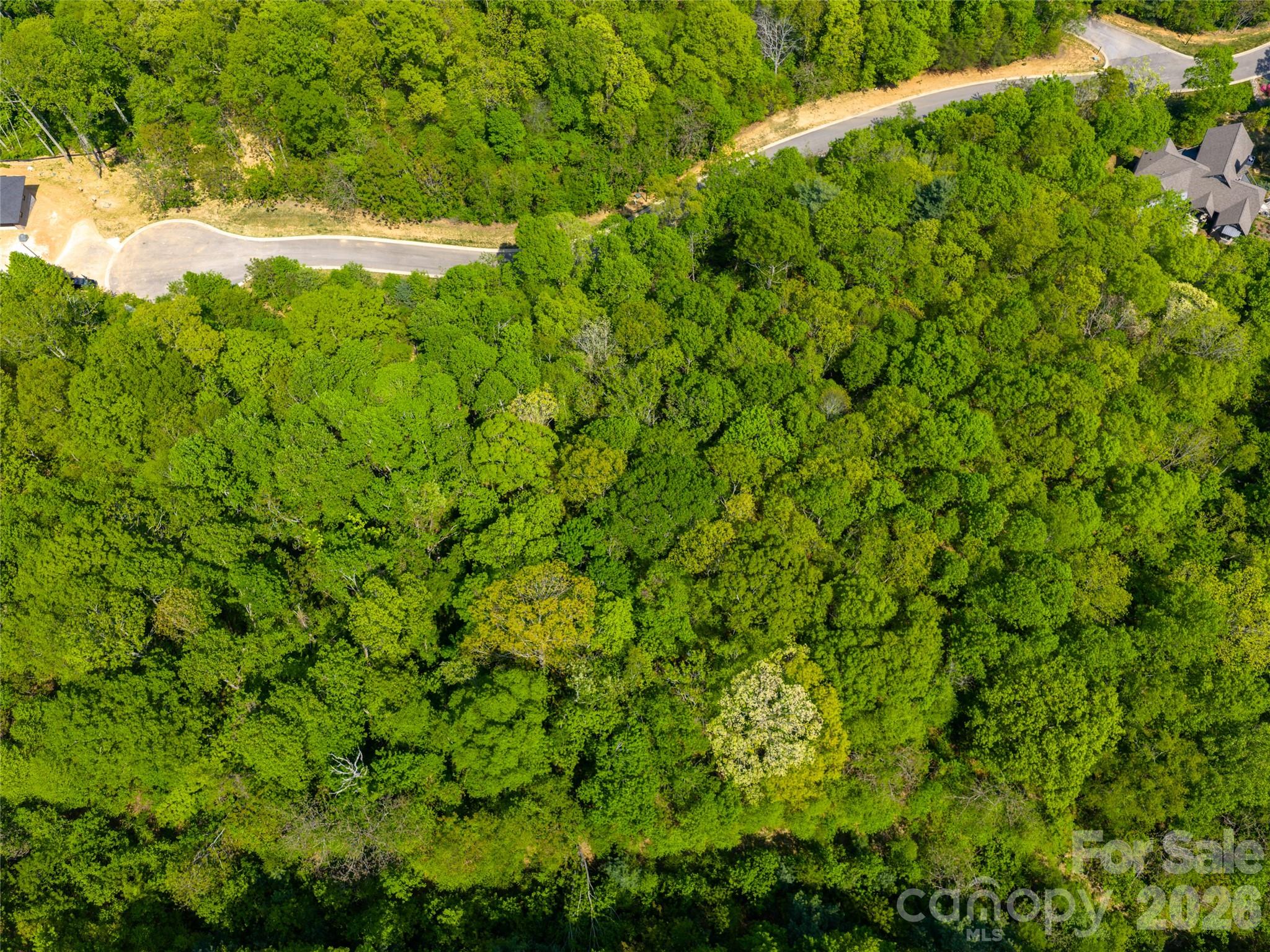 490 Barrington Drive Asheville NC 28803