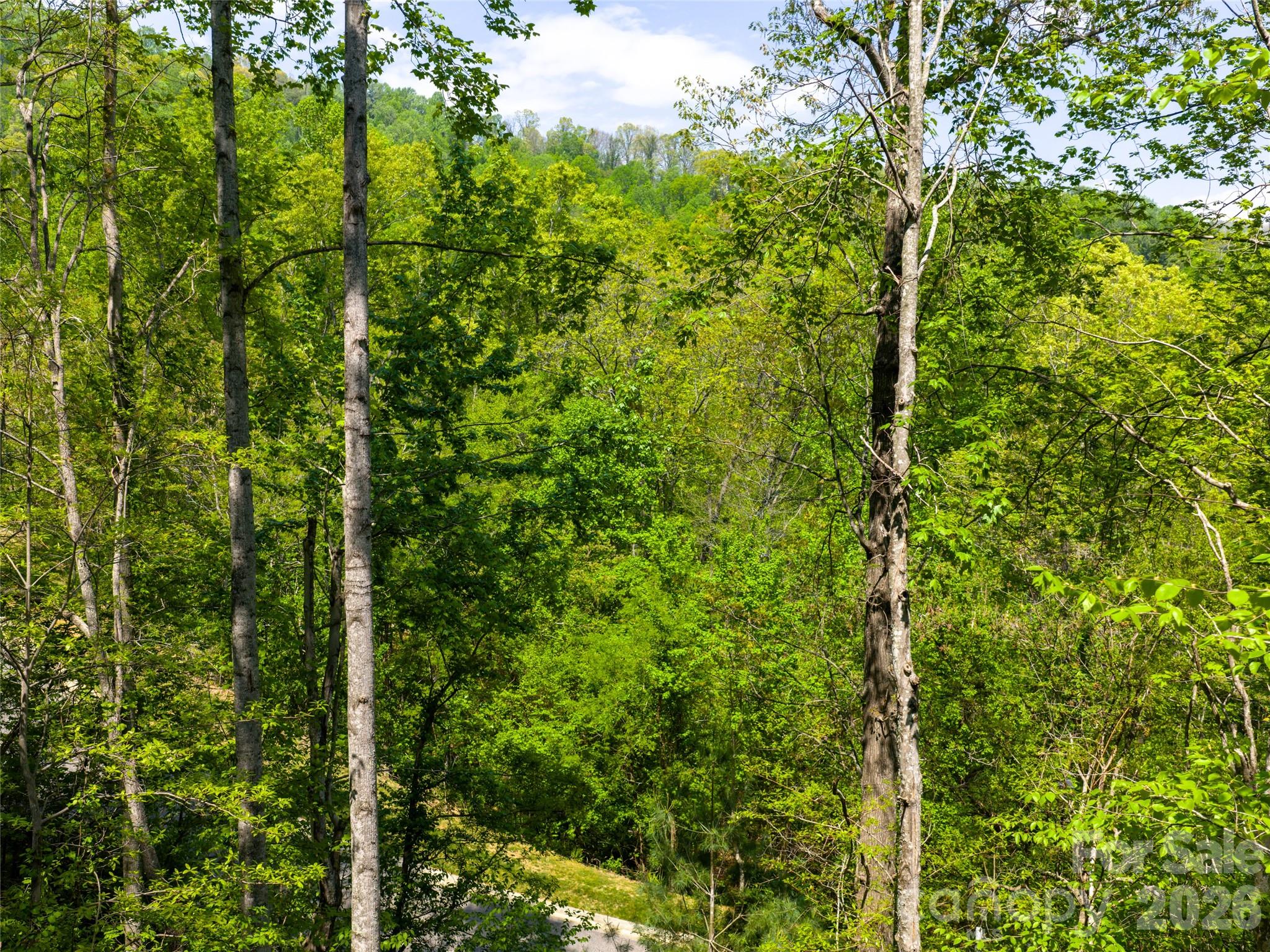 490 Barrington Drive Asheville NC 28803