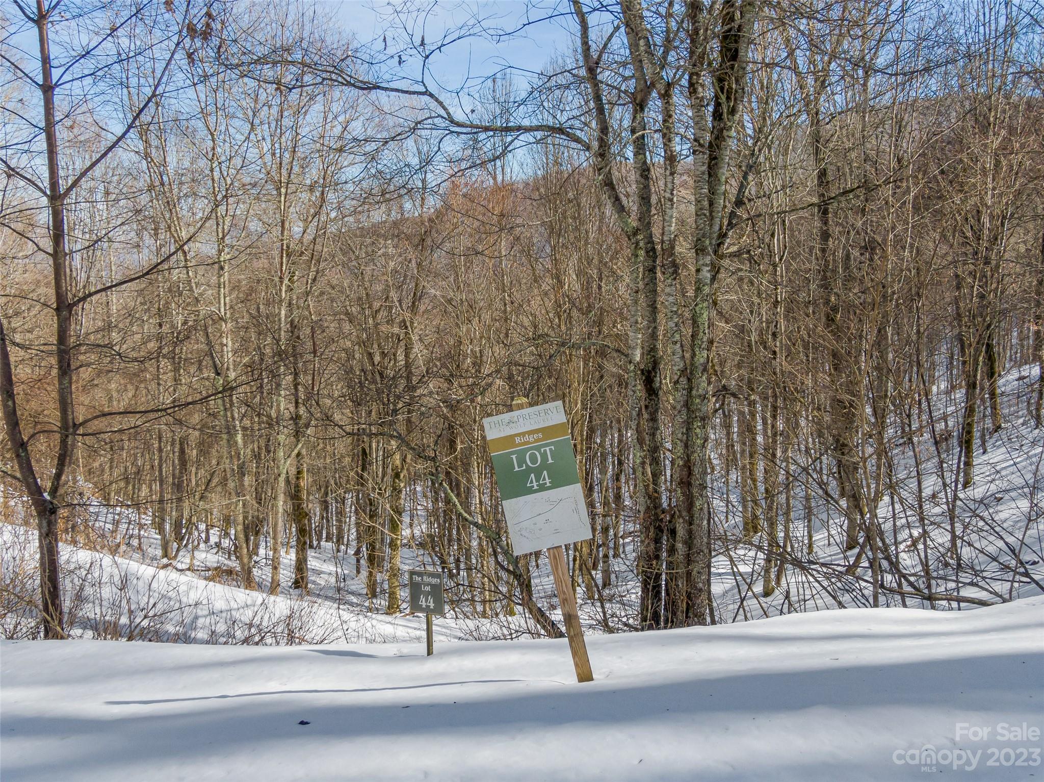 Lot 44 Black Bear Run Mars Hill NC 28754