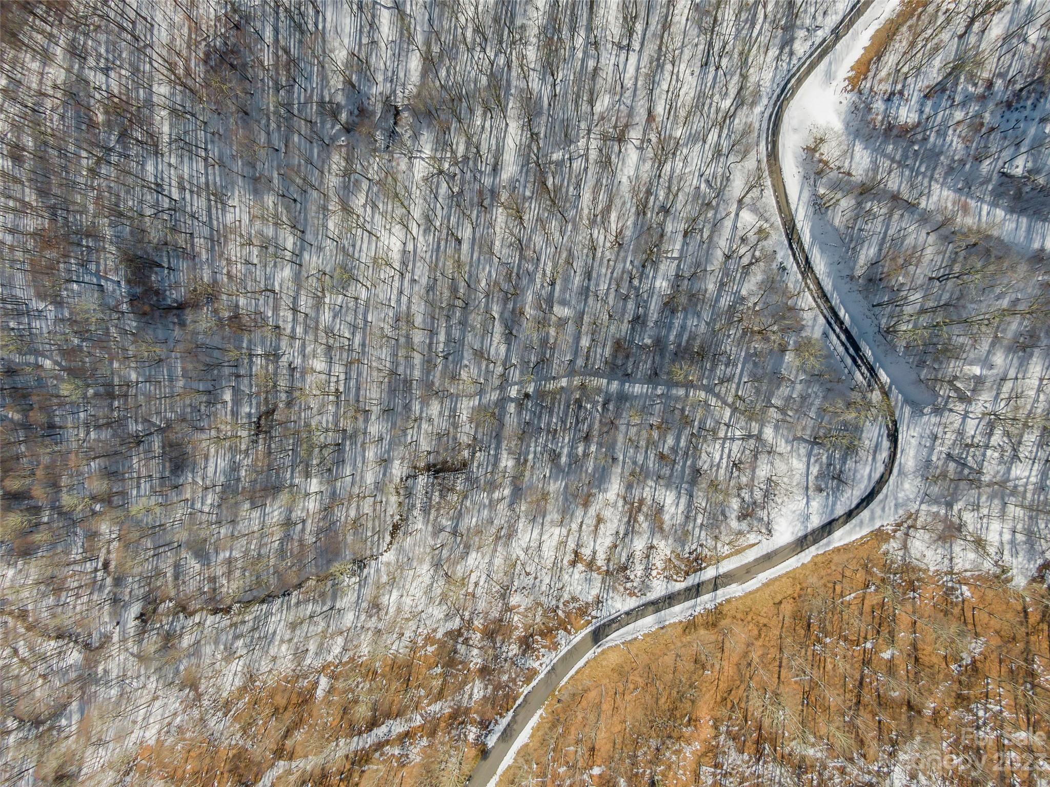 Lot 44 Black Bear Run Mars Hill NC 28754