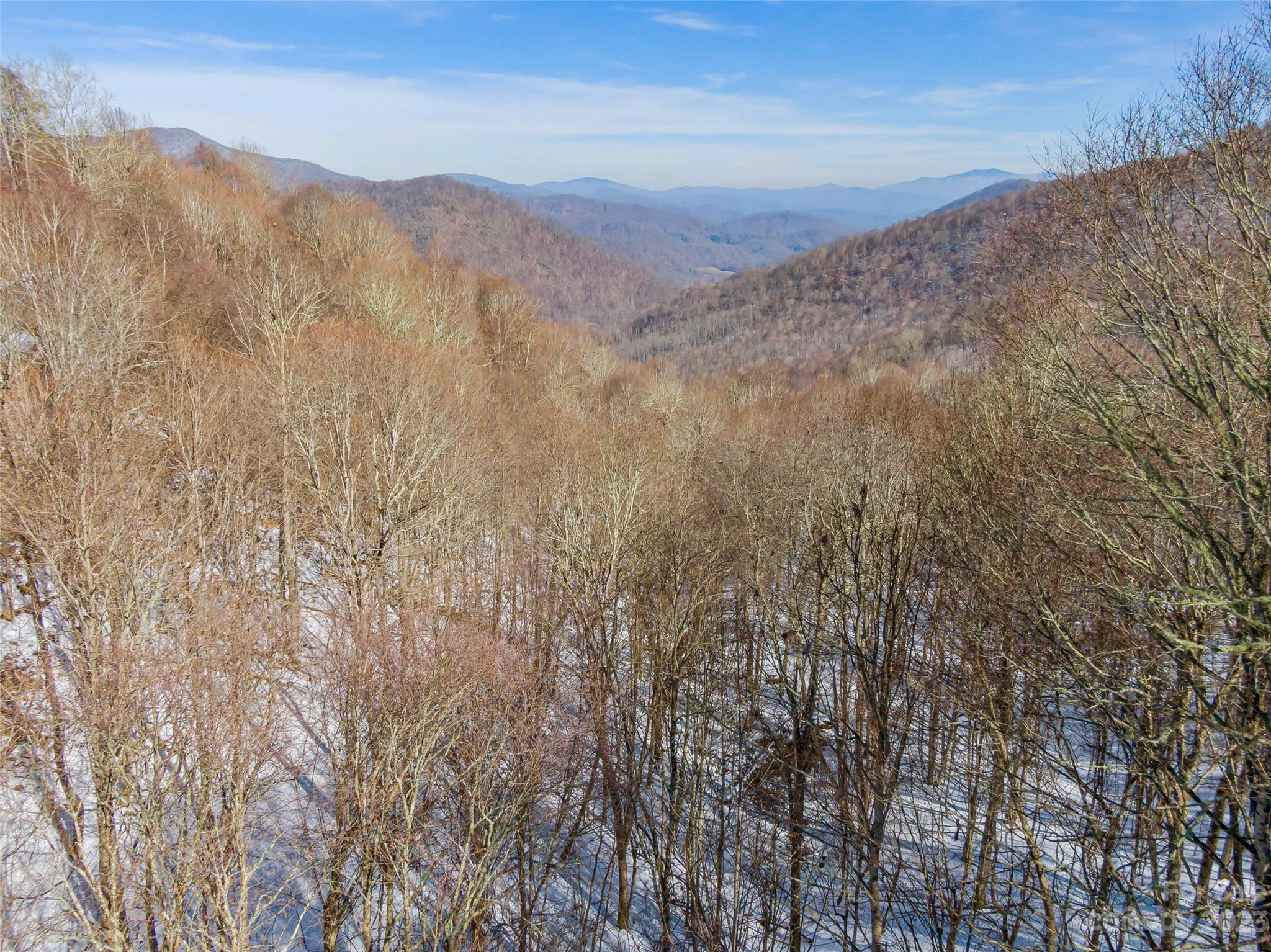 Lot 44 Black Bear Run Mars Hill NC 28754