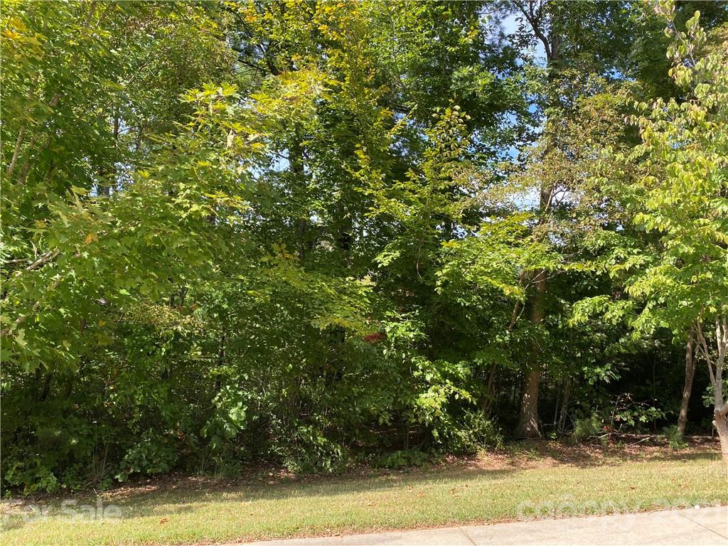 76 French Willow Drive Asheville NC 28804
