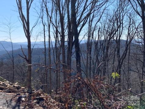 9999 Ebby Ridge Drive Fairview NC 28730