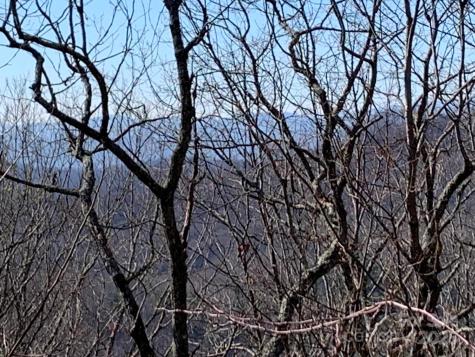 9999 Ebby Ridge Drive Fairview NC 28730