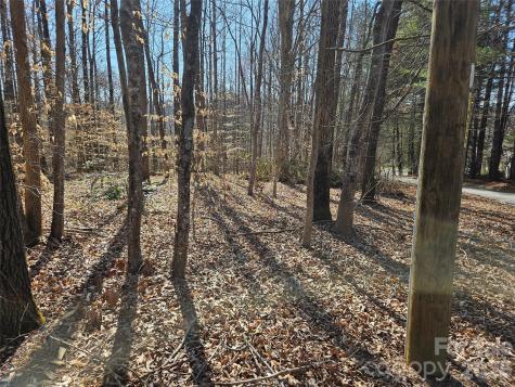 0 General Griffith Circle Rutherfordton NC 28139