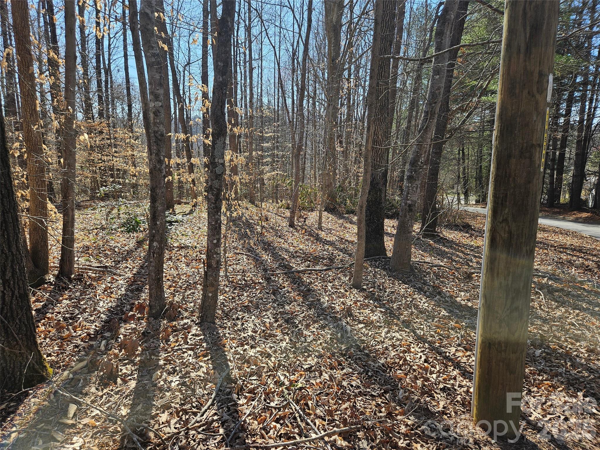 0 General Griffith Circle Rutherfordton NC 28139