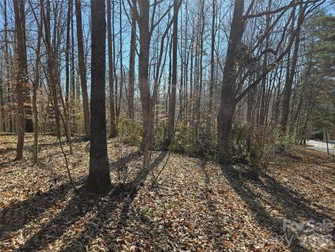 0 General Griffith Circle Rutherfordton NC 28139