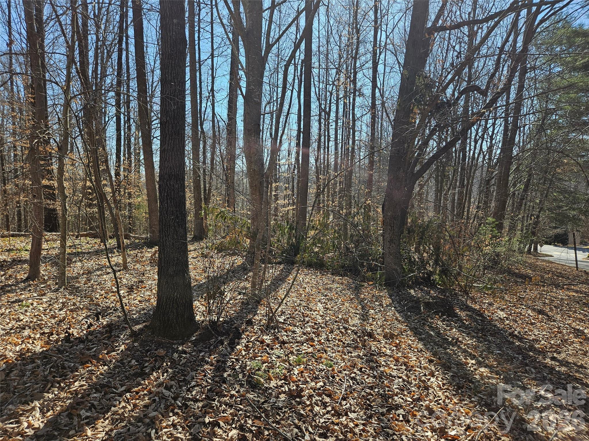 0 General Griffith Circle Rutherfordton NC 28139