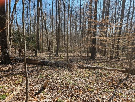 0 General Griffith Circle Rutherfordton NC 28139