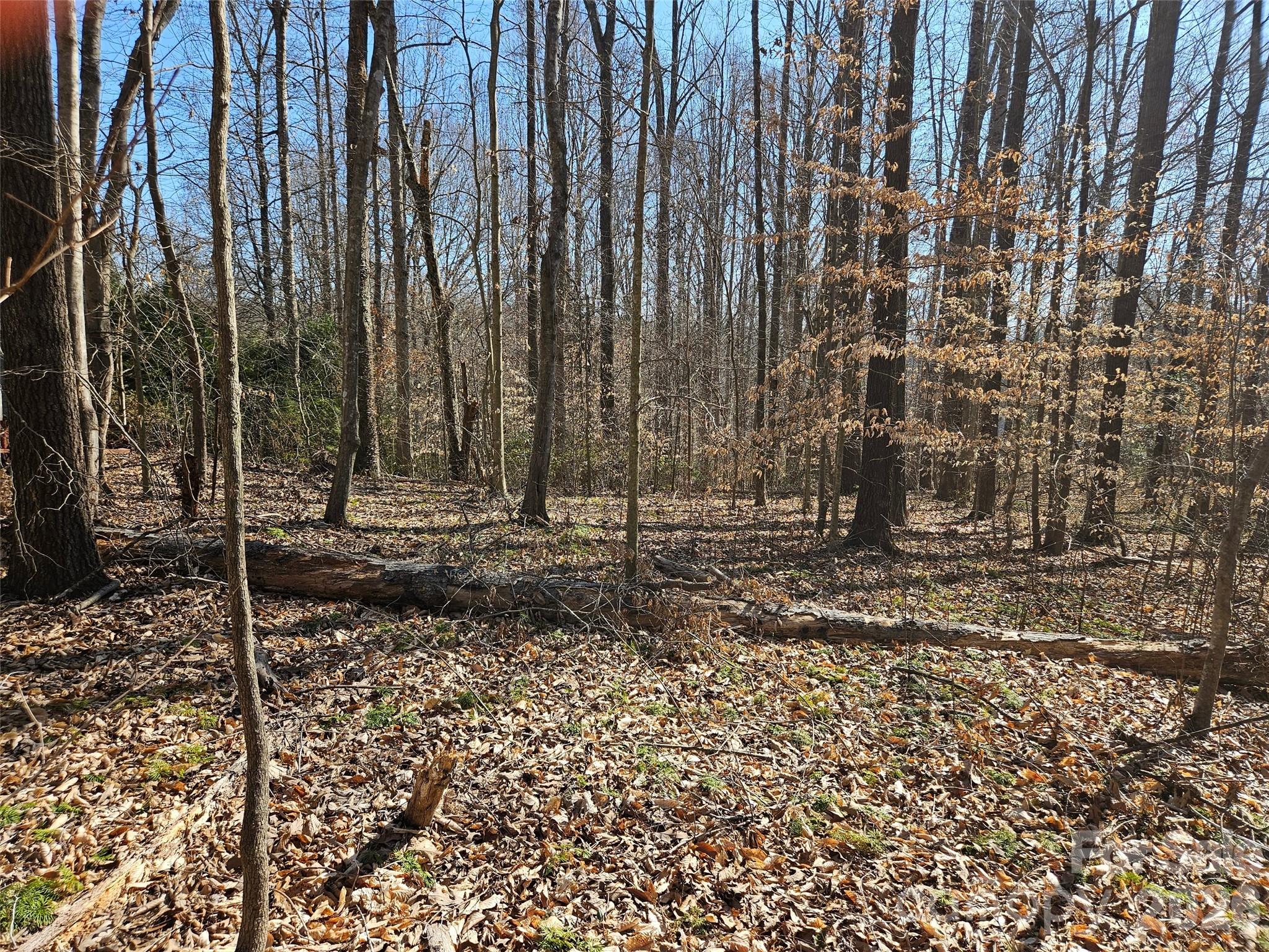 0 General Griffith Circle Rutherfordton NC 28139