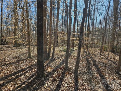 0 General Griffith Circle Rutherfordton NC 28139