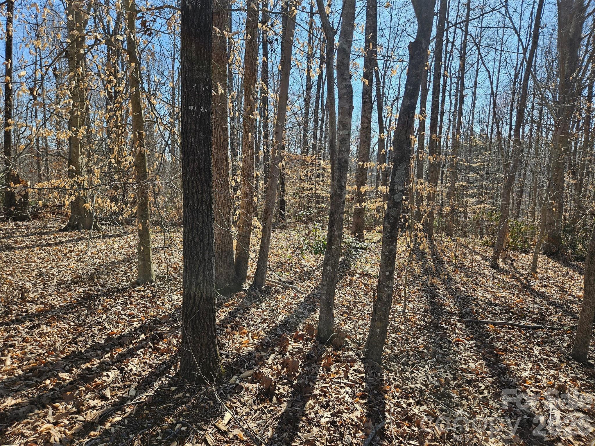0 General Griffith Circle Rutherfordton NC 28139