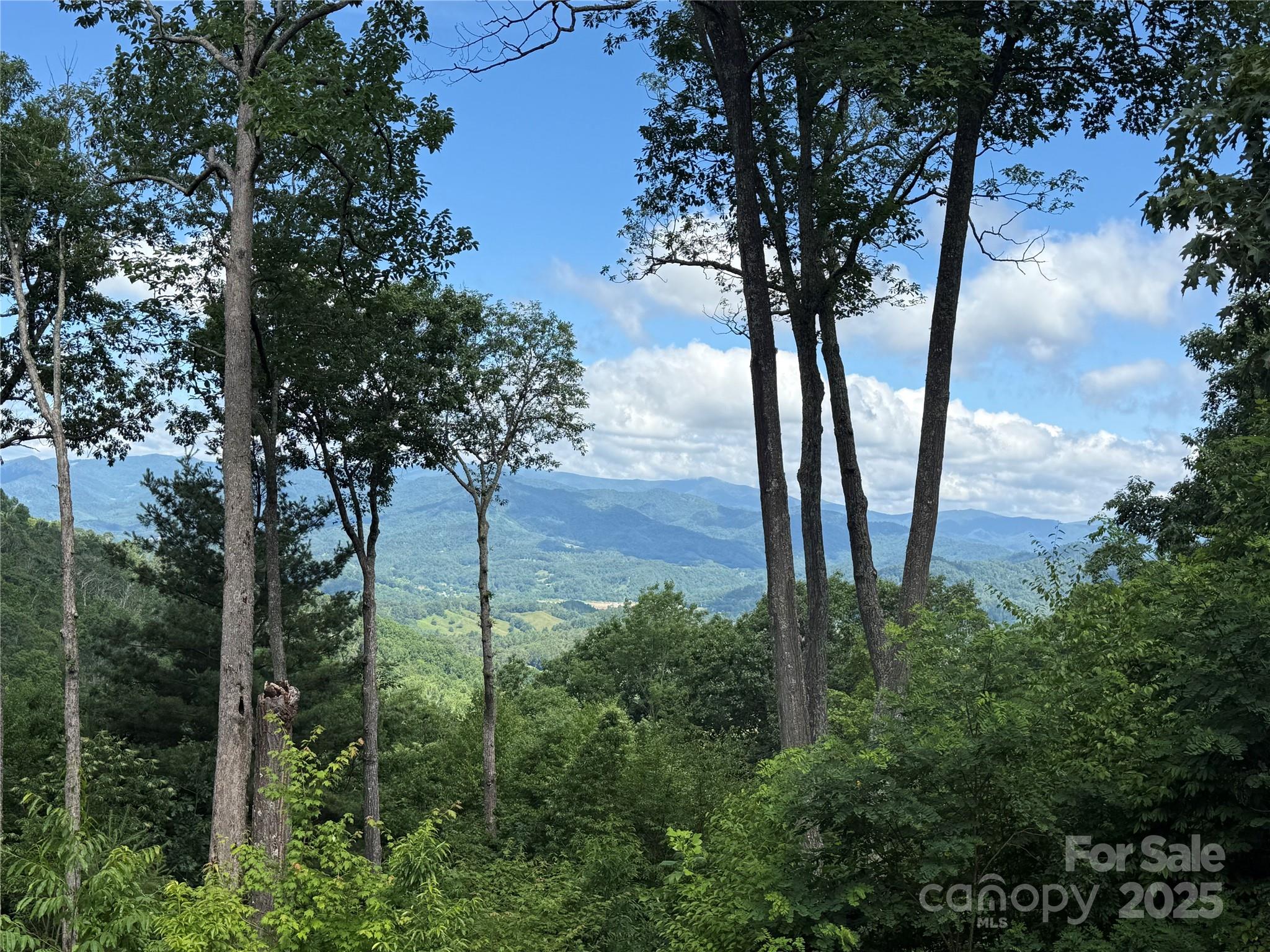 Lot 3 Heritage Ridge Loop Burnsville NC 28714