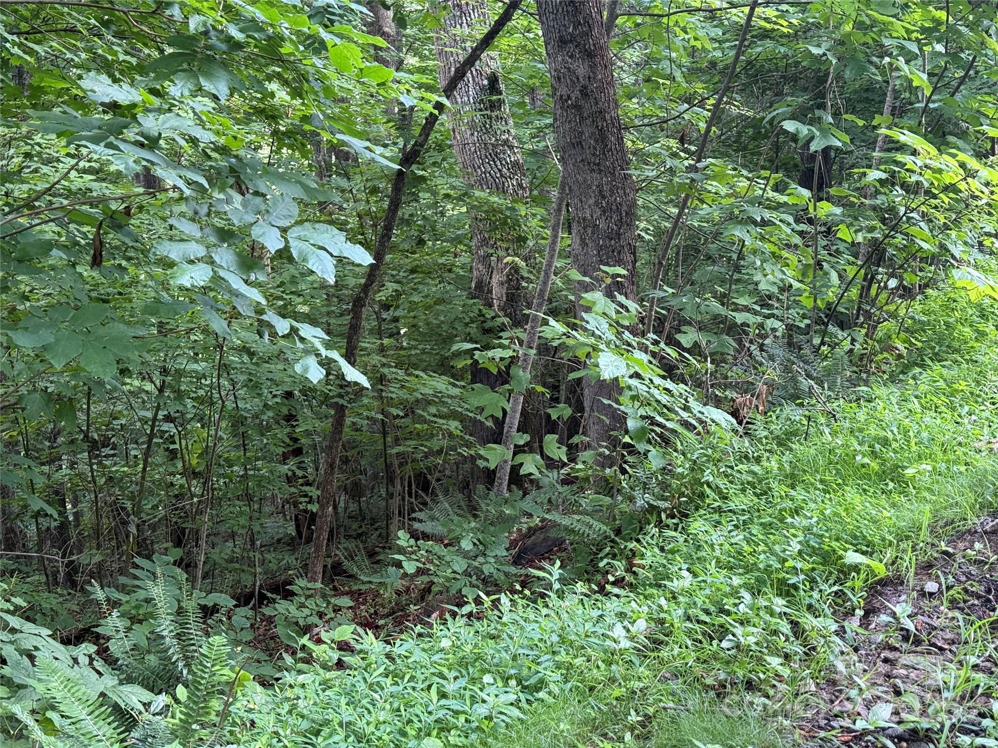 Lot 3 Heritage Ridge Loop Burnsville NC 28714