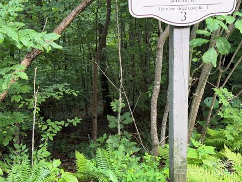 Lot 3 Heritage Ridge Loop Burnsville NC 28714
