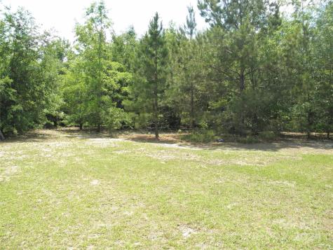 Tbd Chesterfield Highway Cheraw SC 29520