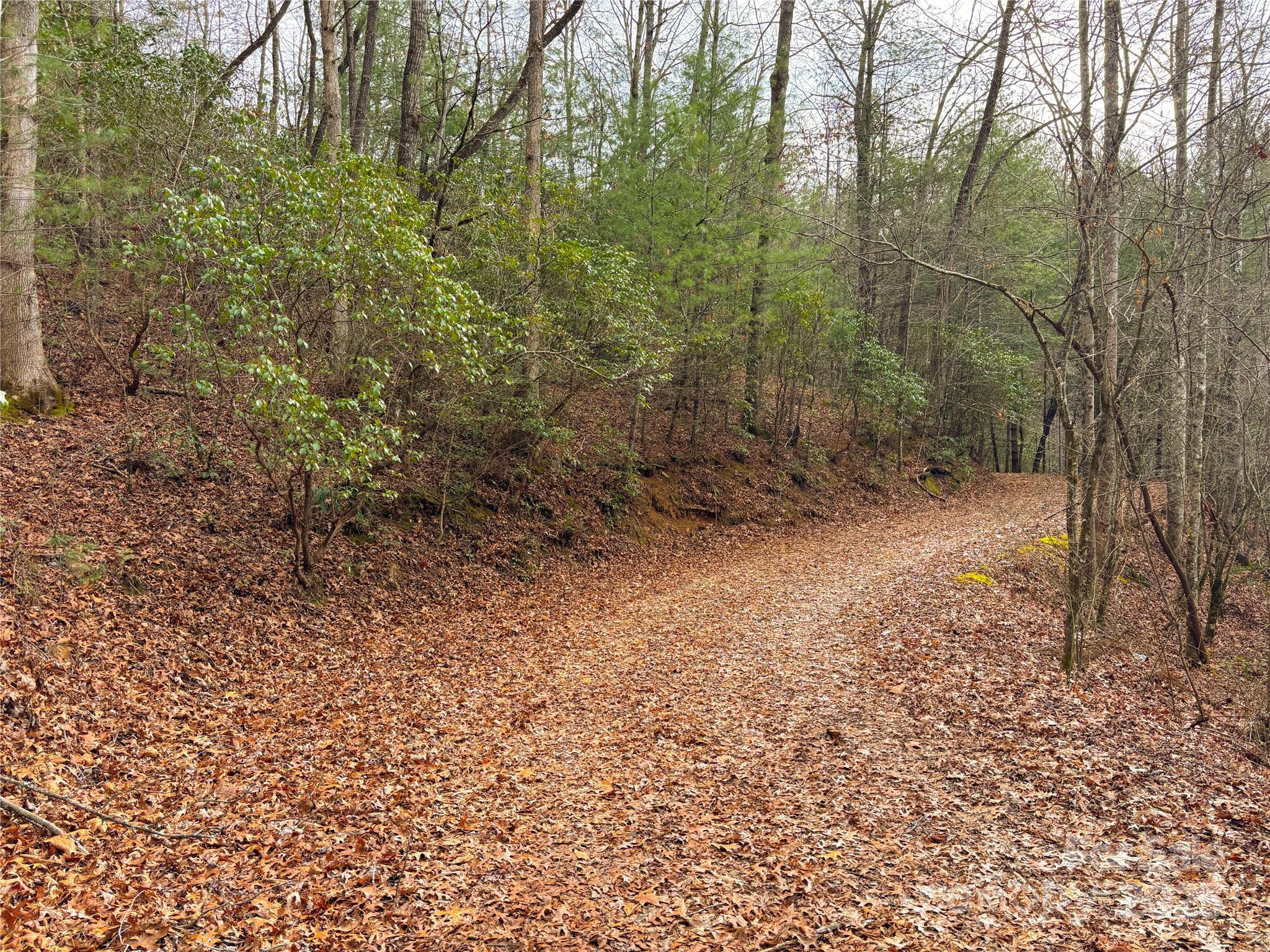 999 Hillside Terrace Robbinsville NC 28771