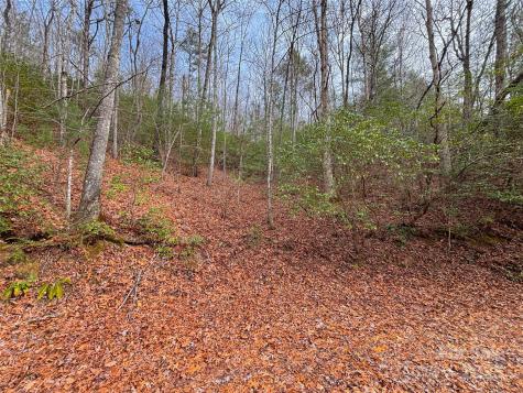 999 Hillside Terrace Robbinsville NC 28771