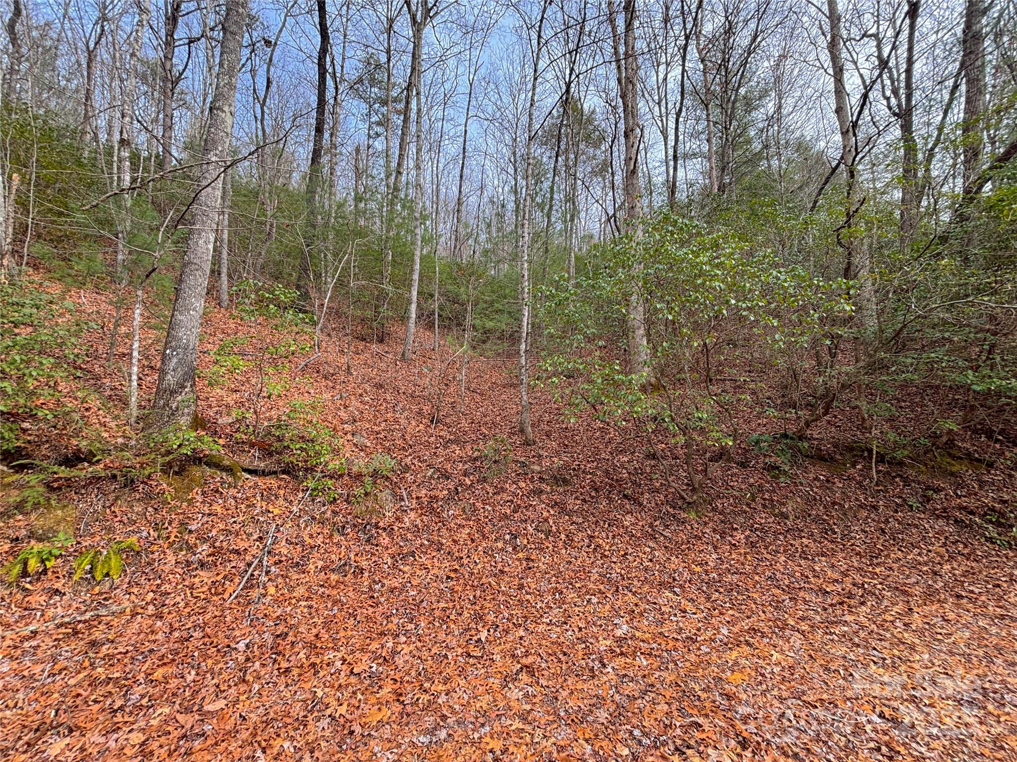 999 Hillside Terrace Robbinsville NC 28771